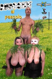 Mucche al Pascolo – CXD01571 Sex Full Movies