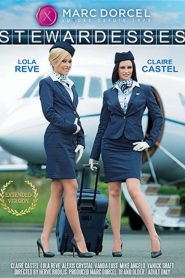 Stewardesses Sex Full Movies