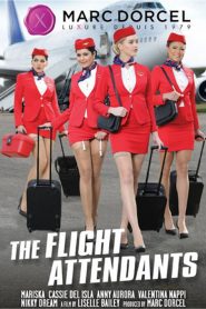 The Flight Attendants Sex Full Movies