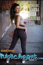 Public Agent Vol. 12 Sex Full Movies