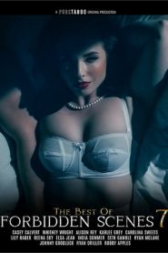 The Best of Forbidden Scenes 7 (2024) Xxx Full Movies